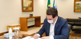 Governo cria comitê para discutir vacinas contra coronavírus no Paraná