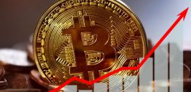 O que é o pizza day das criptomoedas